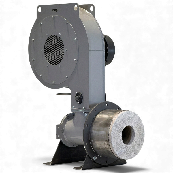 March 2025 Newsletter